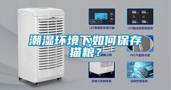 潮濕環境下如何保存貓糧？