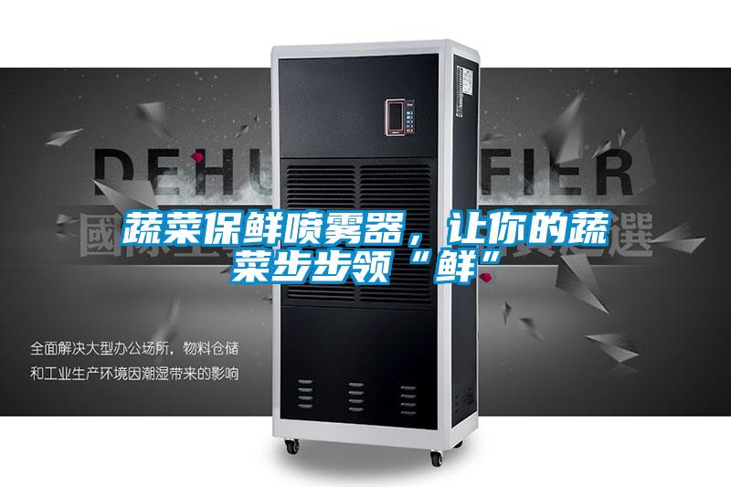 蔬菜保鮮噴霧器，讓你的蔬菜步步領“鮮”