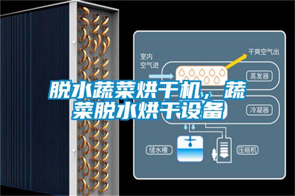脫水蔬菜烘干機，蔬菜脫水烘干設(shè)備