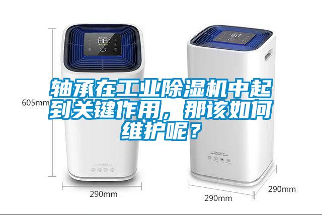 軸承在工業除濕機中起到關鍵作用，那該如何維護呢？