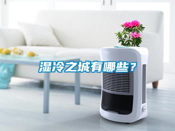 濕冷之城有哪些？