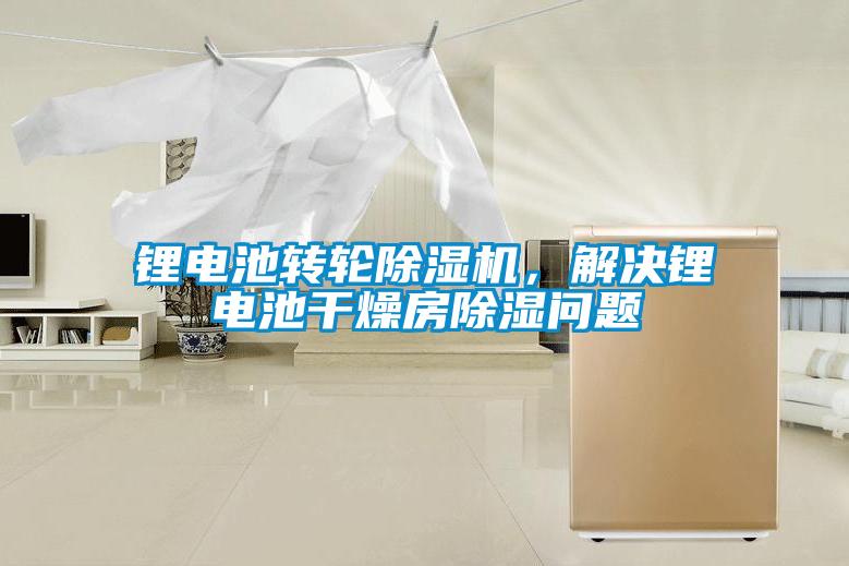 鋰電池轉輪除濕機，解決鋰電池干燥房除濕問題