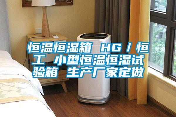 恒溫恒濕箱 HG／恒工 小型恒溫恒濕試驗(yàn)箱 生產(chǎn)廠(chǎng)家定做