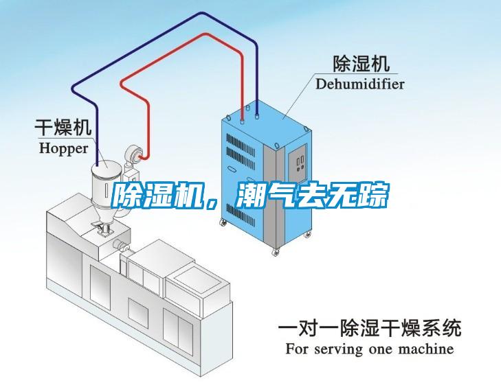 除濕機(jī)，潮氣去無(wú)蹤