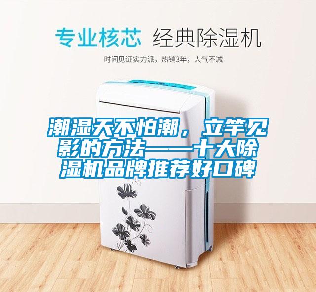 潮濕天不怕潮，立竿見影的方法——十大除濕機(jī)品牌推薦好口碑