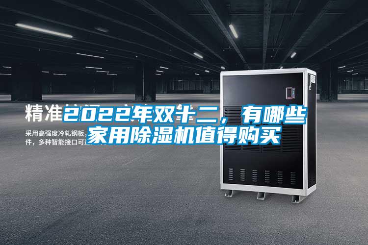 2022年雙十二，有哪些家用除濕機(jī)值得購(gòu)買