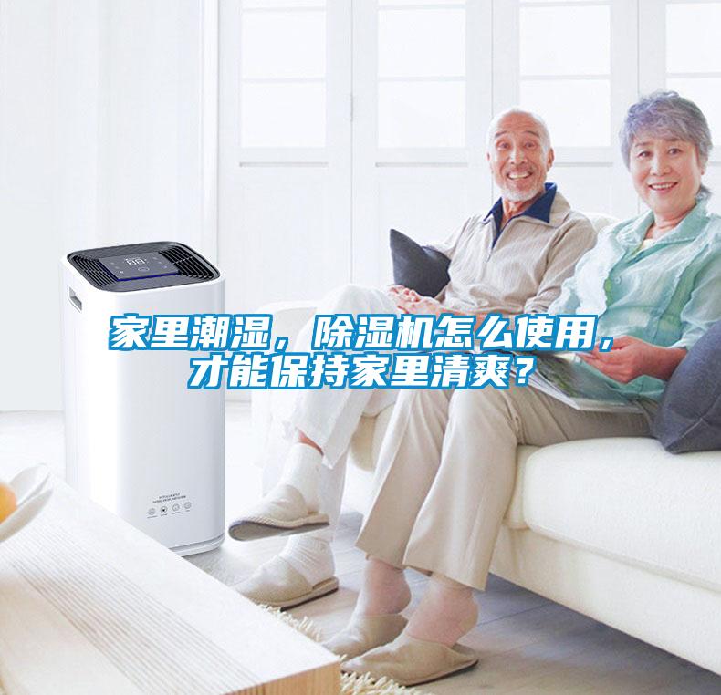 家里潮濕，除濕機怎么使用，才能保持家里清爽？