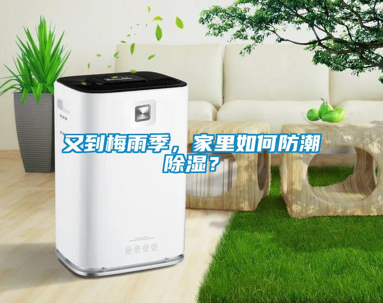 又到梅雨季，家里如何防潮除濕？