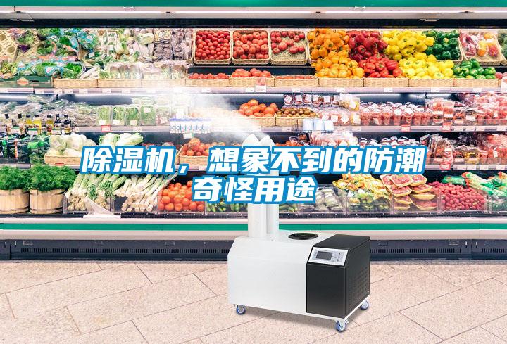 除濕機(jī)，想象不到的防潮奇怪用途
