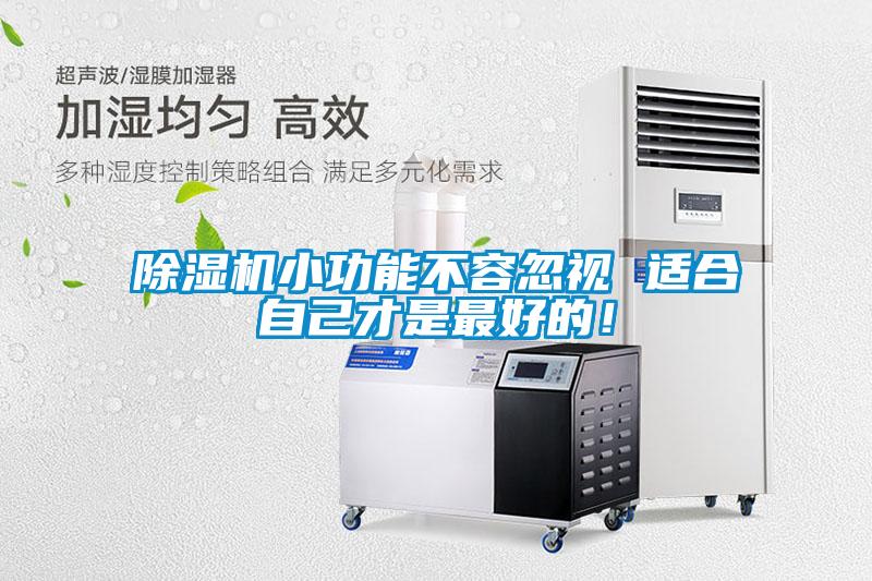 除濕機小功能不容忽視 適合自己才是最好的！