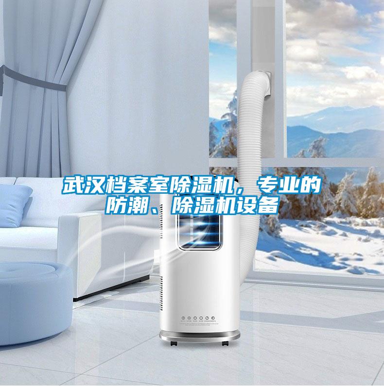 武漢檔案室除濕機(jī)，專業(yè)的防潮、除濕機(jī)設(shè)備
