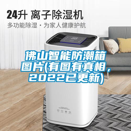 佛山智能防潮箱圖片(有圖有真相，2022已更新)