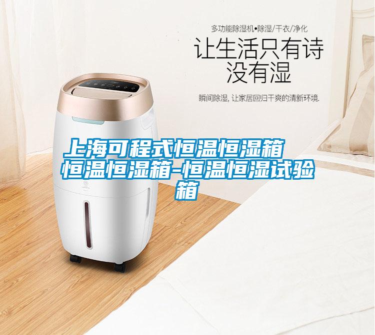 上?？沙淌胶銣睾銤裣? 恒溫恒濕箱-恒溫恒濕試驗箱