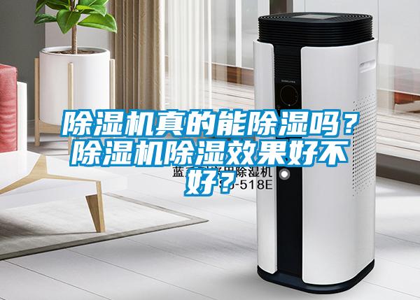 除濕機(jī)真的能除濕嗎？除濕機(jī)除濕效果好不好？