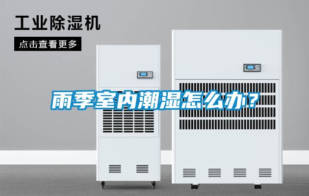 雨季室內潮濕怎么辦？