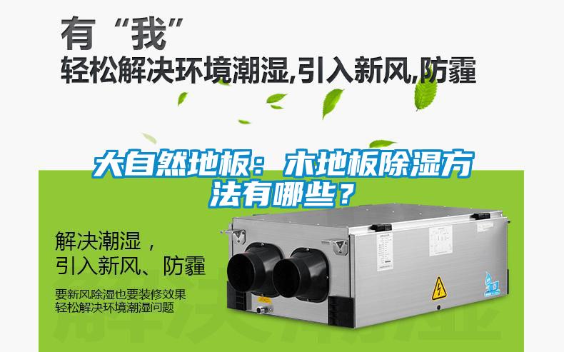 大自然地板：木地板除濕方法有哪些？