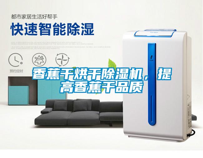 香蕉干烘干除濕機，提高香蕉干品質