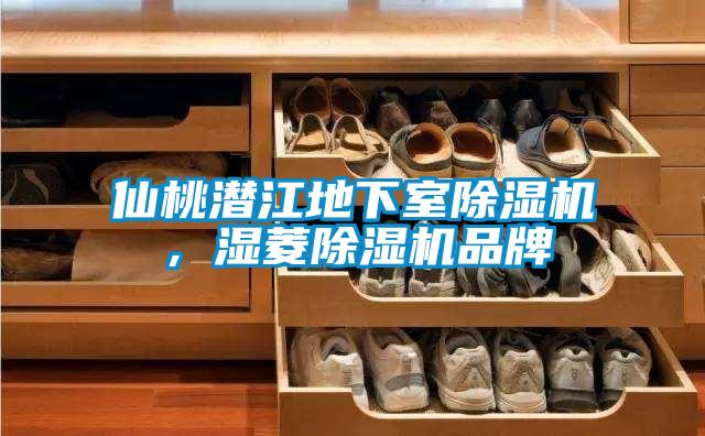 仙桃潛江地下室除濕機，濕菱除濕機品牌