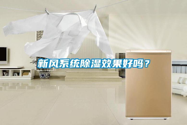 新風系統除濕效果好嗎？