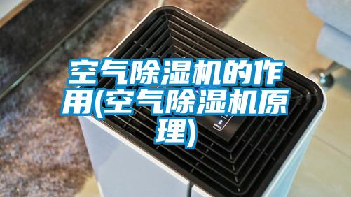 空氣除濕機(jī)的作用(空氣除濕機(jī)原理)