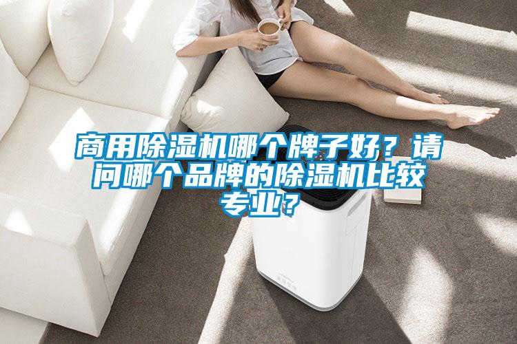 商用除濕機(jī)哪個(gè)牌子好？請(qǐng)問(wèn)哪個(gè)品牌的除濕機(jī)比較專(zhuān)業(yè)？