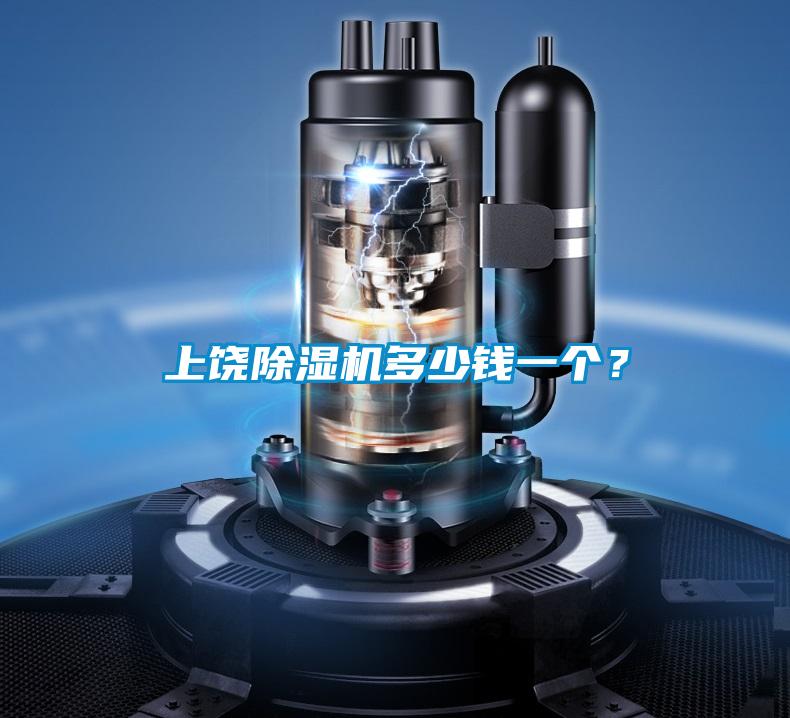 上饒除濕機(jī)多少錢一個(gè)？