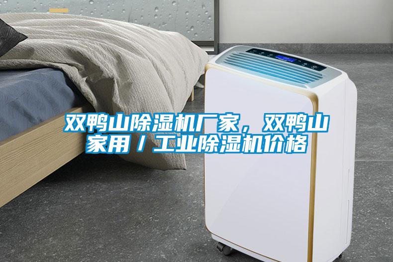 雙鴨山除濕機(jī)廠家，雙鴨山家用／工業(yè)除濕機(jī)價(jià)格
