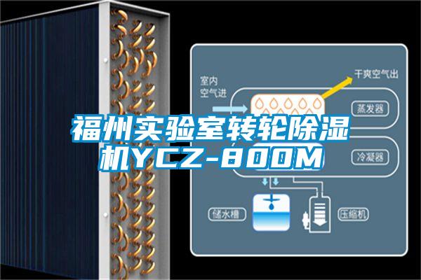 福州實驗室轉(zhuǎn)輪除濕機YCZ-800M