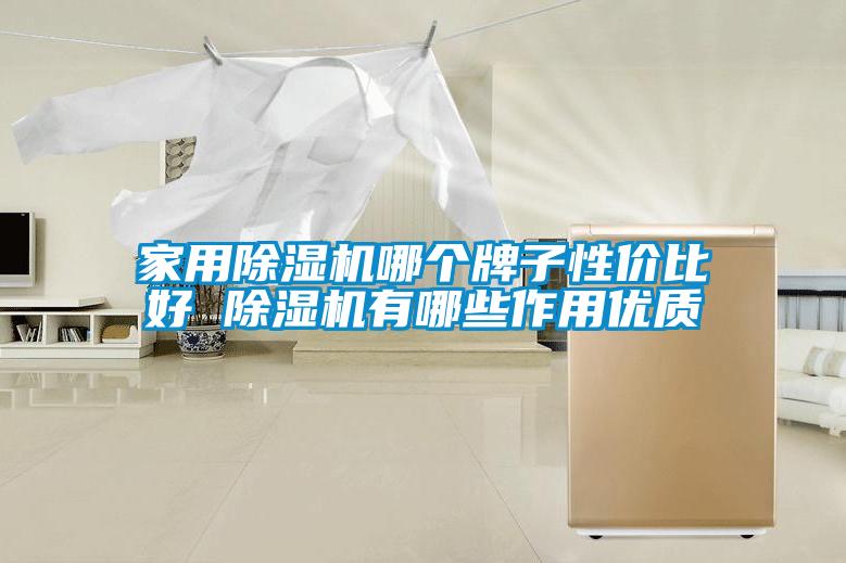 家用除濕機(jī)哪個(gè)牌子性價(jià)比好 除濕機(jī)有哪些作用優(yōu)質(zhì)