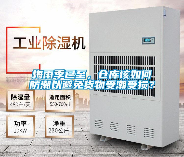 梅雨季已至，倉庫該如何防潮以避免貨物受潮受損？