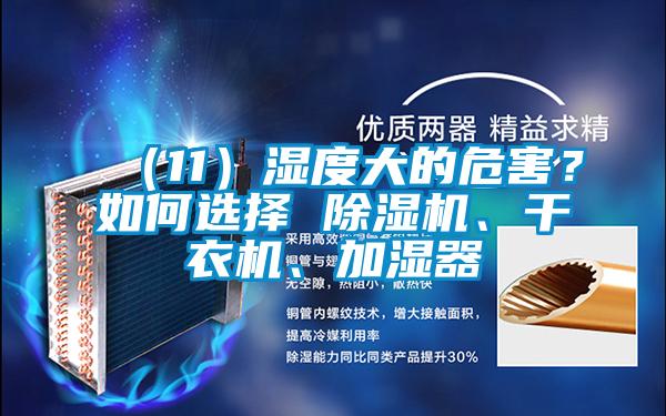 （11）濕度大的危害？如何選擇 除濕機(jī)、干衣機(jī)、加濕器