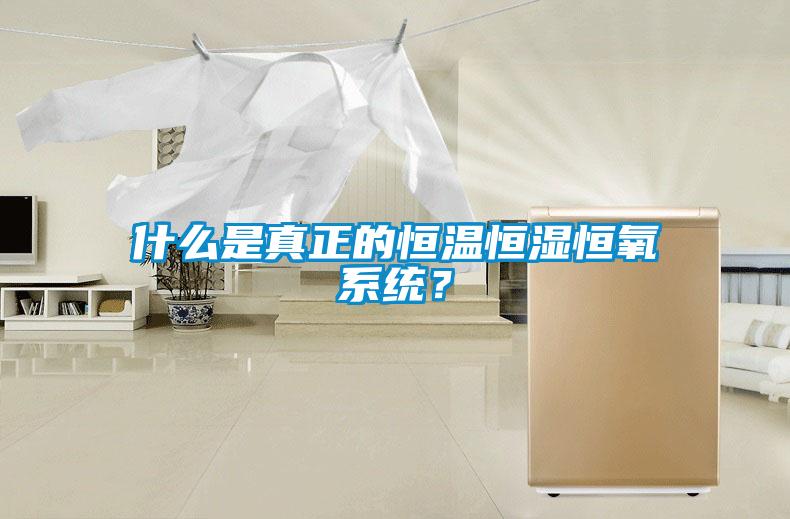 什么是真正的恒溫恒濕恒氧系統？
