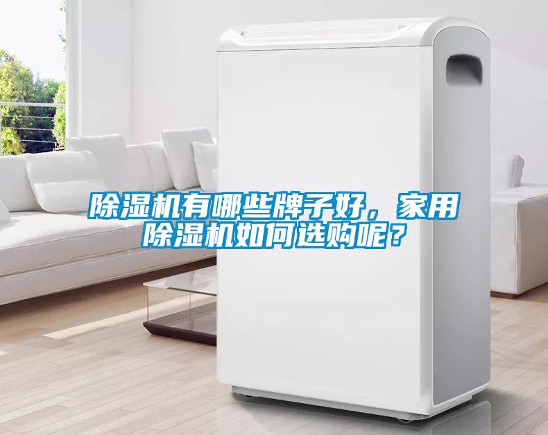 除濕機(jī)有哪些牌子好，家用除濕機(jī)如何選購(gòu)呢？