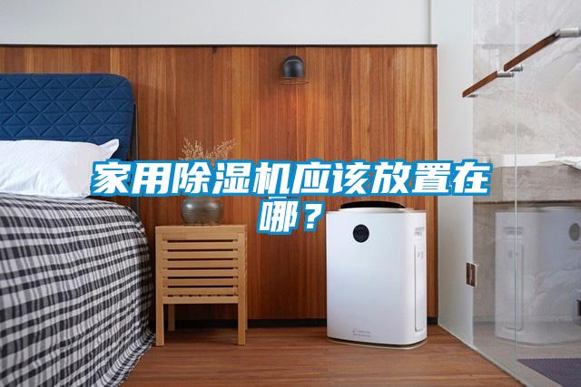 家用除濕機應該放置在哪？