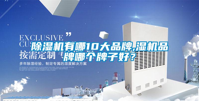 除濕機有哪10大品牌,濕機品牌哪個牌子好？