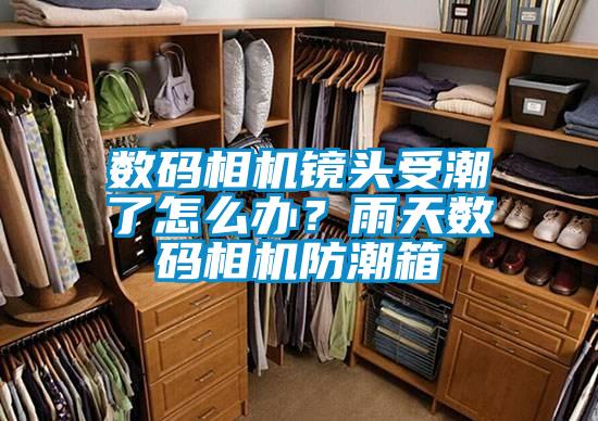 數碼相機鏡頭受潮了怎么辦？雨天數碼相機防潮箱