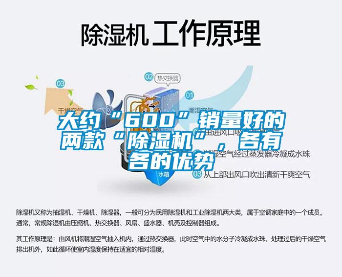大約“600”銷(xiāo)量好的兩款“除濕機(jī)”，各有各的優(yōu)勢(shì)