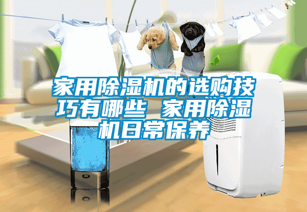 家用除濕機的選購技巧有哪些 家用除濕機日常保養(yǎng)
