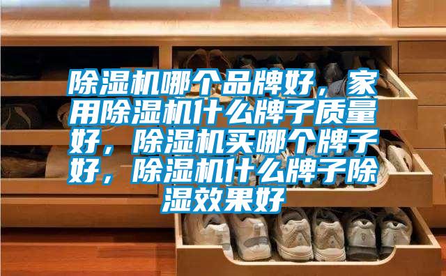 除濕機(jī)哪個品牌好，家用除濕機(jī)什么牌子質(zhì)量好，除濕機(jī)買哪個牌子好，除濕機(jī)什么牌子除濕效果好
