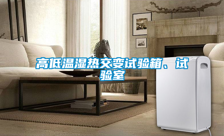 高低溫濕熱交變試驗(yàn)箱、試驗(yàn)室