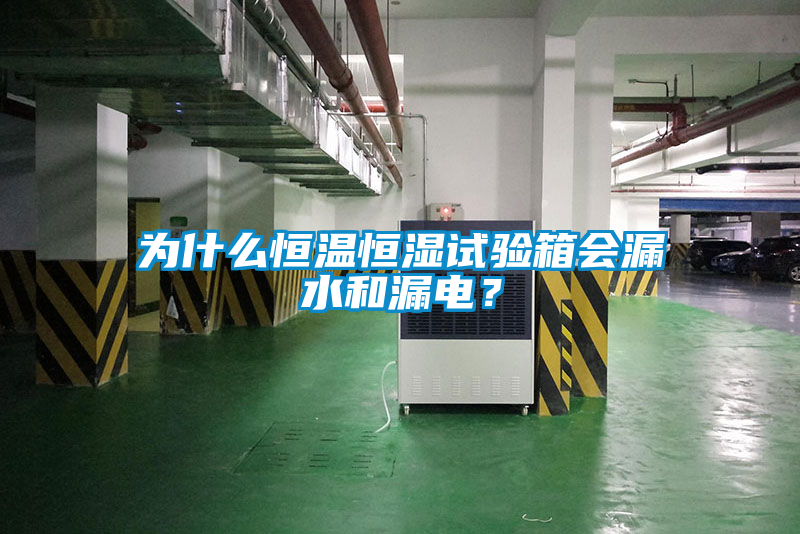 為什么恒溫恒濕試驗箱會漏水和漏電？