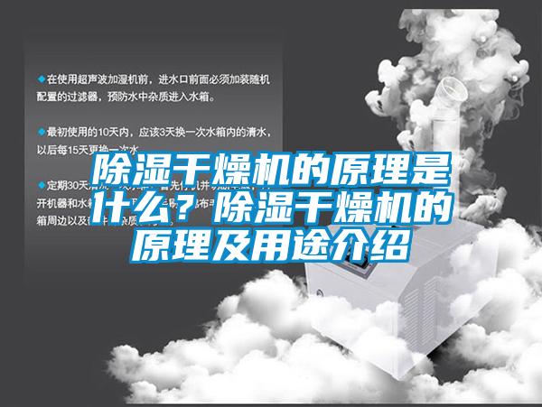 除濕干燥機的原理是什么？除濕干燥機的原理及用途介紹