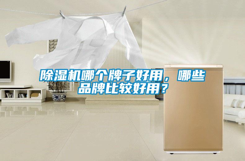 除濕機哪個牌子好用，哪些品牌比較好用？