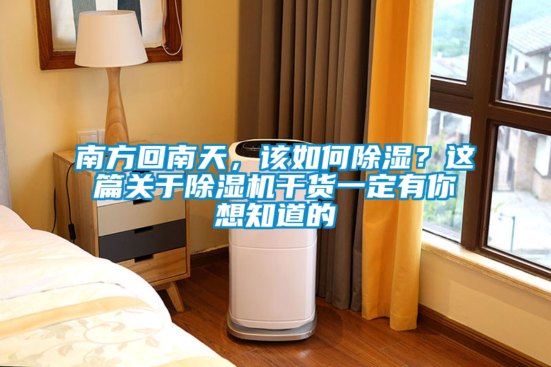 南方回南天，該如何除濕？這篇關于除濕機干貨一定有你想知道的