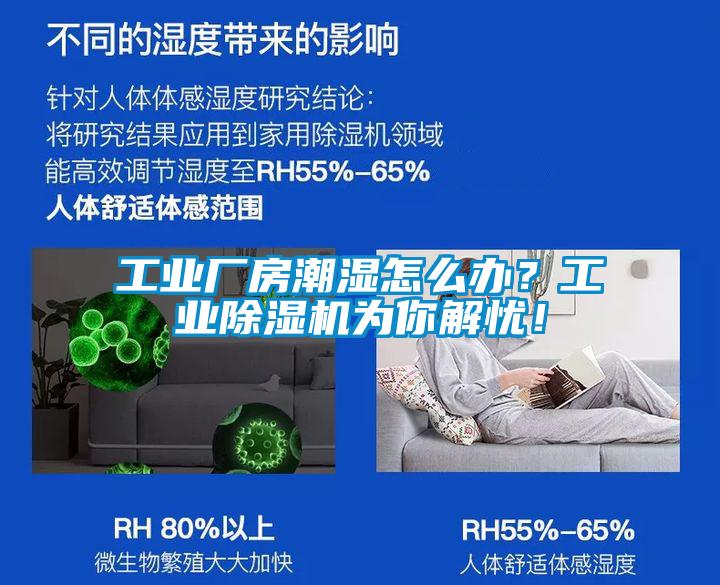 工業廠房潮濕怎么辦？工業除濕機為你解憂！