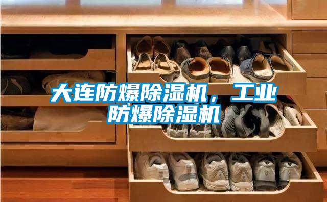 大連防爆除濕機，工業防爆除濕機