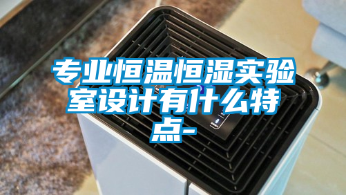 專業(yè)恒溫恒濕實驗室設計有什么特點-