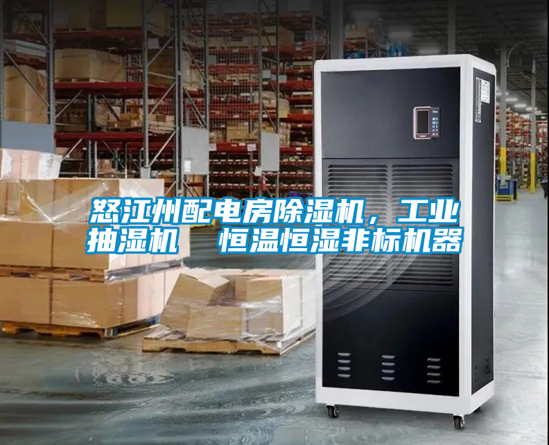 怒江州配電房除濕機(jī)，工業(yè)抽濕機(jī)  恒溫恒濕非標(biāo)機(jī)器