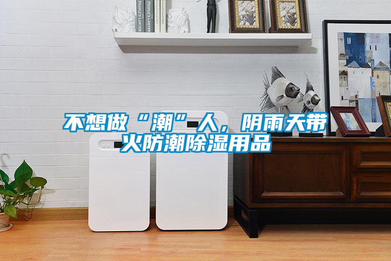 不想做“潮”人，陰雨天帶火防潮除濕用品
