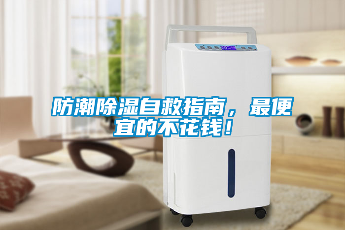 防潮除濕自救指南，最便宜的不花錢！